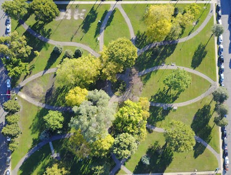 Aerial perspective of a park with symmetrical paths and vibrant trees.